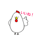 ココ太の毎日（個別スタンプ：6）