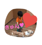 しゅうしゅう君の楽しいスタンプです（個別スタンプ：36）