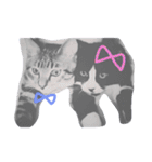 わたしのぺっとたち（個別スタンプ：2）