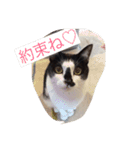 福ちゃんの日常（個別スタンプ：1）