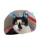 福ちゃんの日常（個別スタンプ：4）