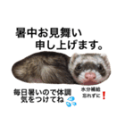 I LOVE FERRET 5 フェレット（個別スタンプ：1）