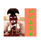 たいがスタンプ（個別スタンプ：1）