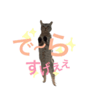 小梅すたんぷ(だいぶ岐阜弁)（個別スタンプ：9）