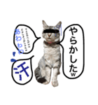 小梅すたんぷ(だいぶ岐阜弁)（個別スタンプ：12）