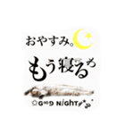 小梅すたんぷ(だいぶ岐阜弁)（個別スタンプ：19）