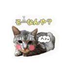 小梅すたんぷ(だいぶ岐阜弁)（個別スタンプ：23）