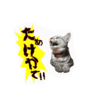 小梅すたんぷ(だいぶ岐阜弁)（個別スタンプ：24）
