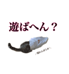 小梅すたんぷ(だいぶ岐阜弁)（個別スタンプ：27）