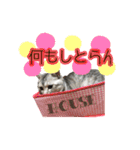 小梅すたんぷ(だいぶ岐阜弁)（個別スタンプ：28）