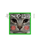 小梅すたんぷ(だいぶ岐阜弁)（個別スタンプ：32）