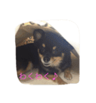 こじろうの日常（個別スタンプ：14）
