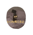 気まぐれモカちん（個別スタンプ：3）