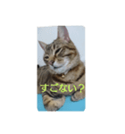 気まぐれモカちん（個別スタンプ：6）