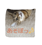 気まぐれモカちん（個別スタンプ：8）