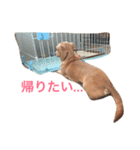 てぃの（個別スタンプ：2）