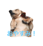 てぃの（個別スタンプ：4）