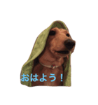 てぃの（個別スタンプ：8）