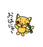 まめにゃんの一日。（個別スタンプ：1）