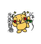 まめにゃんの一日。（個別スタンプ：11）