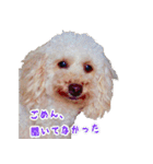 ラテちゃん②（個別スタンプ：11）
