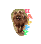 獅と狛  withモコモコ（個別スタンプ：13）