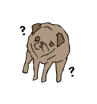 Fee Bee the Yard Pug（個別スタンプ：12）