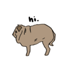 Fee Bee the Yard Pug（個別スタンプ：15）