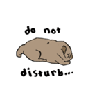 Fee Bee the Yard Pug（個別スタンプ：16）