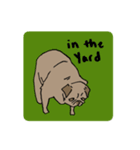 Fee Bee the Yard Pug（個別スタンプ：17）