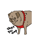 Fee Bee the Yard Pug（個別スタンプ：19）