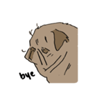 Fee Bee the Yard Pug（個別スタンプ：20）