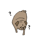 Fee Bee the Yard Pug（個別スタンプ：33）