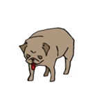 Fee Bee the Yard Pug（個別スタンプ：35）