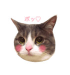 フラフィさんとおはぎどん（個別スタンプ：1）