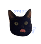 フラフィさんとおはぎどん（個別スタンプ：2）