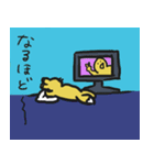 normal fox（個別スタンプ：12）