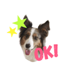 Luke's sticker（個別スタンプ：1）