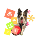 Luke's sticker（個別スタンプ：2）