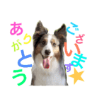 Luke's sticker（個別スタンプ：3）