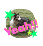 Luke's sticker（個別スタンプ：4）