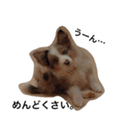 Luke's sticker（個別スタンプ：5）
