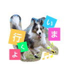 Luke's sticker（個別スタンプ：6）