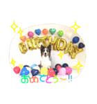 Luke's sticker（個別スタンプ：7）