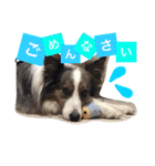 Luke's sticker（個別スタンプ：8）
