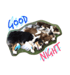 Luke's sticker（個別スタンプ：9）