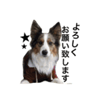 Luke's sticker（個別スタンプ：11）