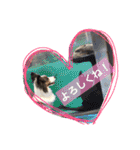 Luke's sticker（個別スタンプ：13）