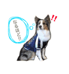 Luke's sticker（個別スタンプ：14）