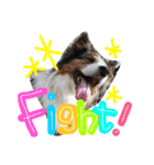 Luke's sticker（個別スタンプ：16）